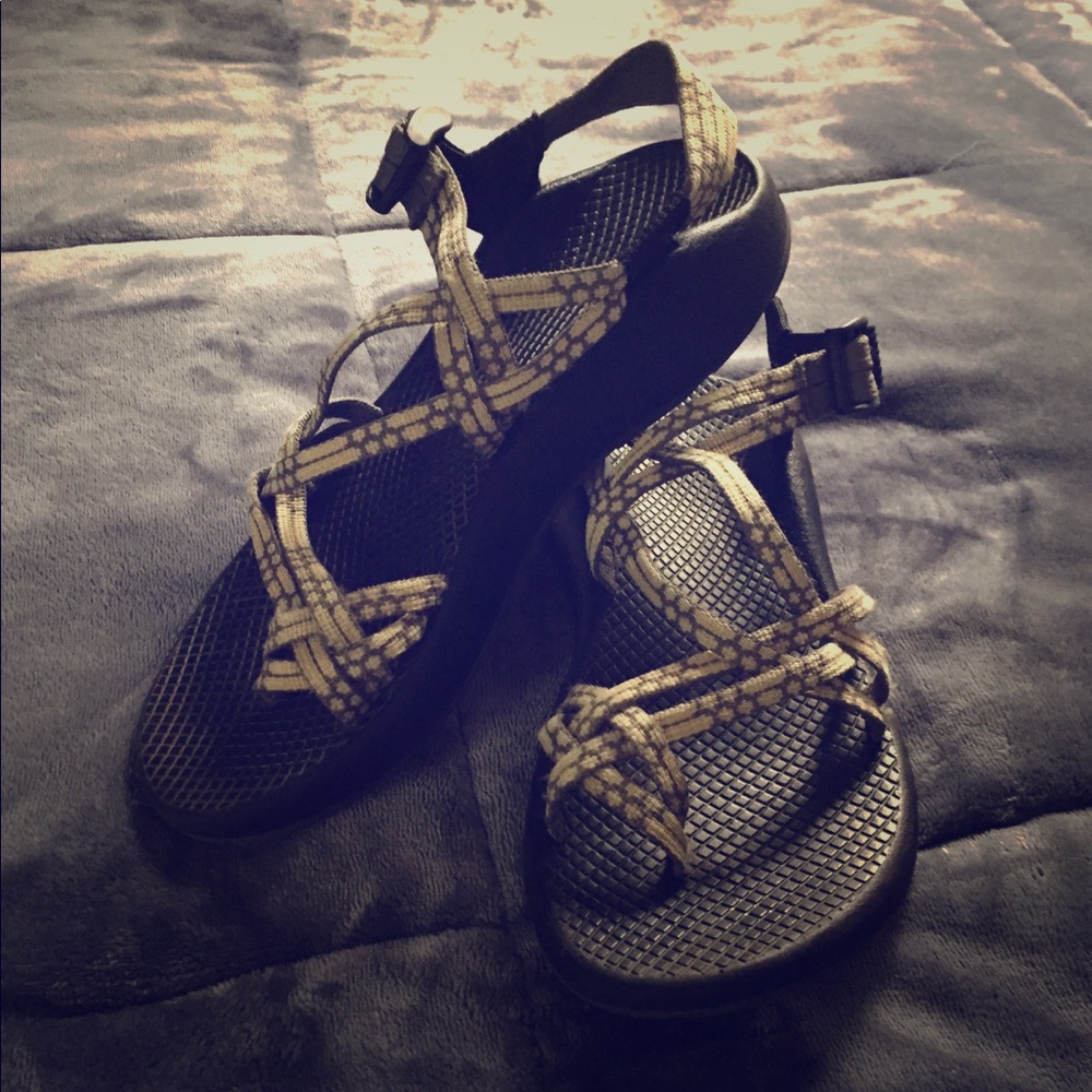 ZX2 Classic Chaco